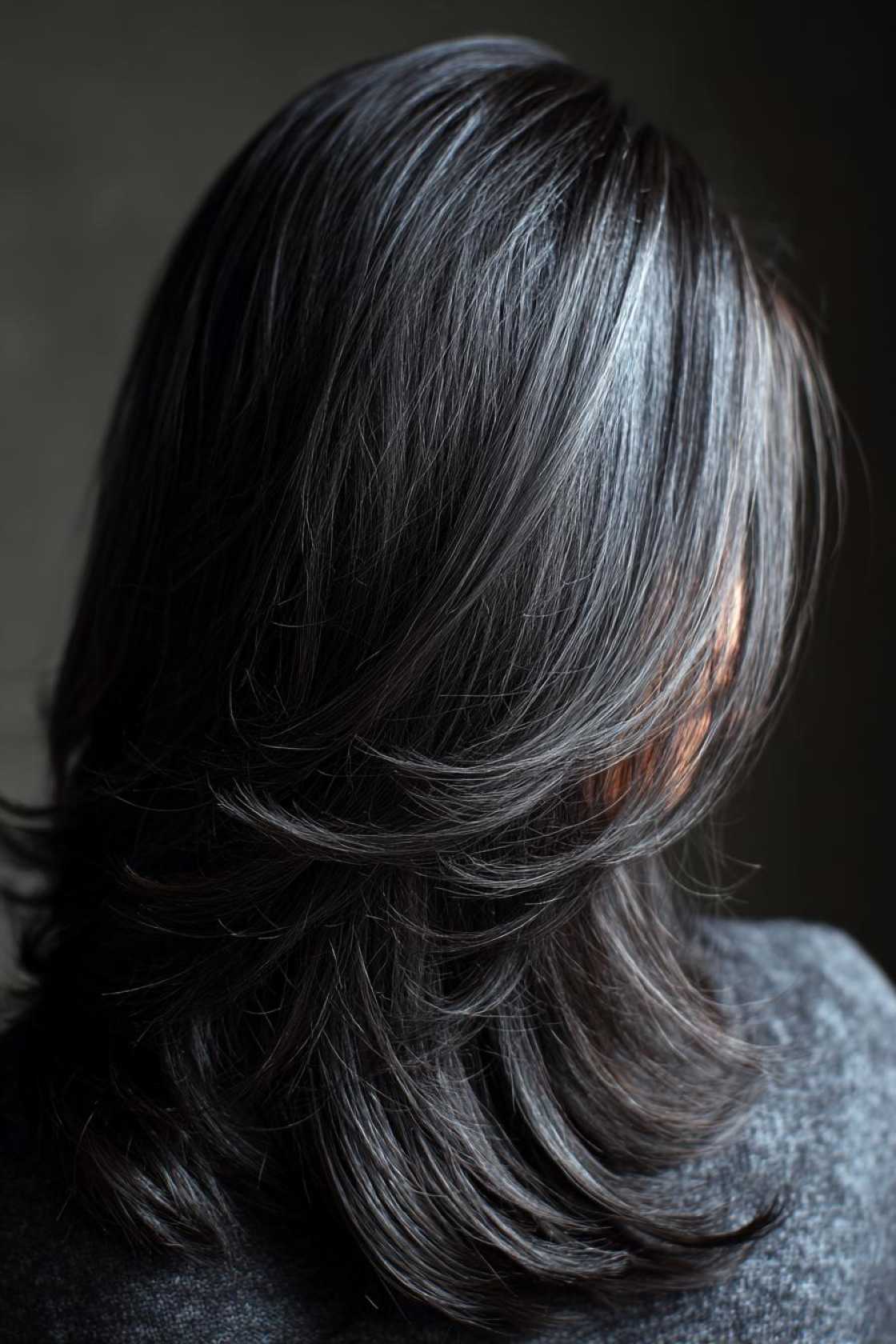 Low-Maintenance Magic: 20+ Gray Blending Looks for Dark Hair That Grow Out Beautifully. - 2. Deep Slate Blending